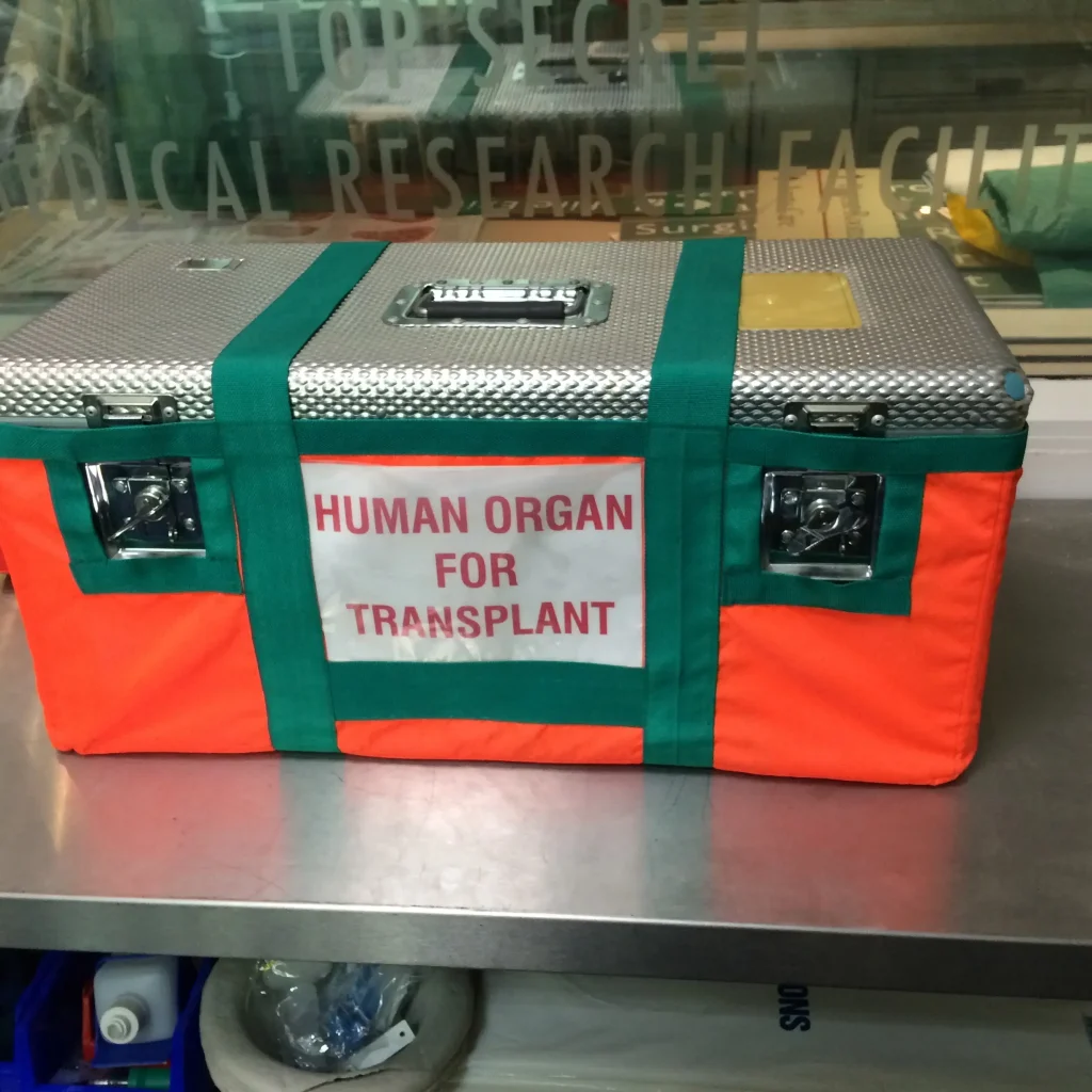Human organs transplant bag